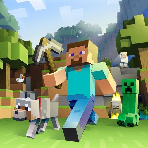 Minecraft collection